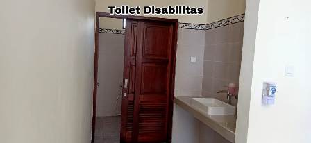 toilet disabilitas